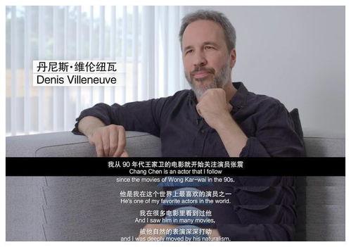 最新茶叶爆料新闻视频,热门新品与行业趋势深度解析